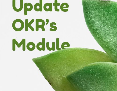 Update OKR module JUL 2022 site