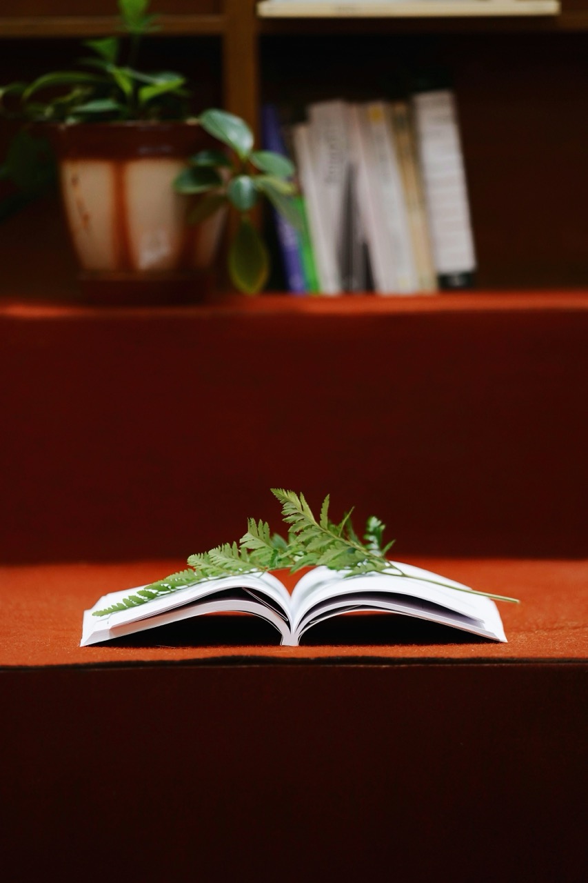 An open book placed on an orange surface with a fern leaf resting on top.