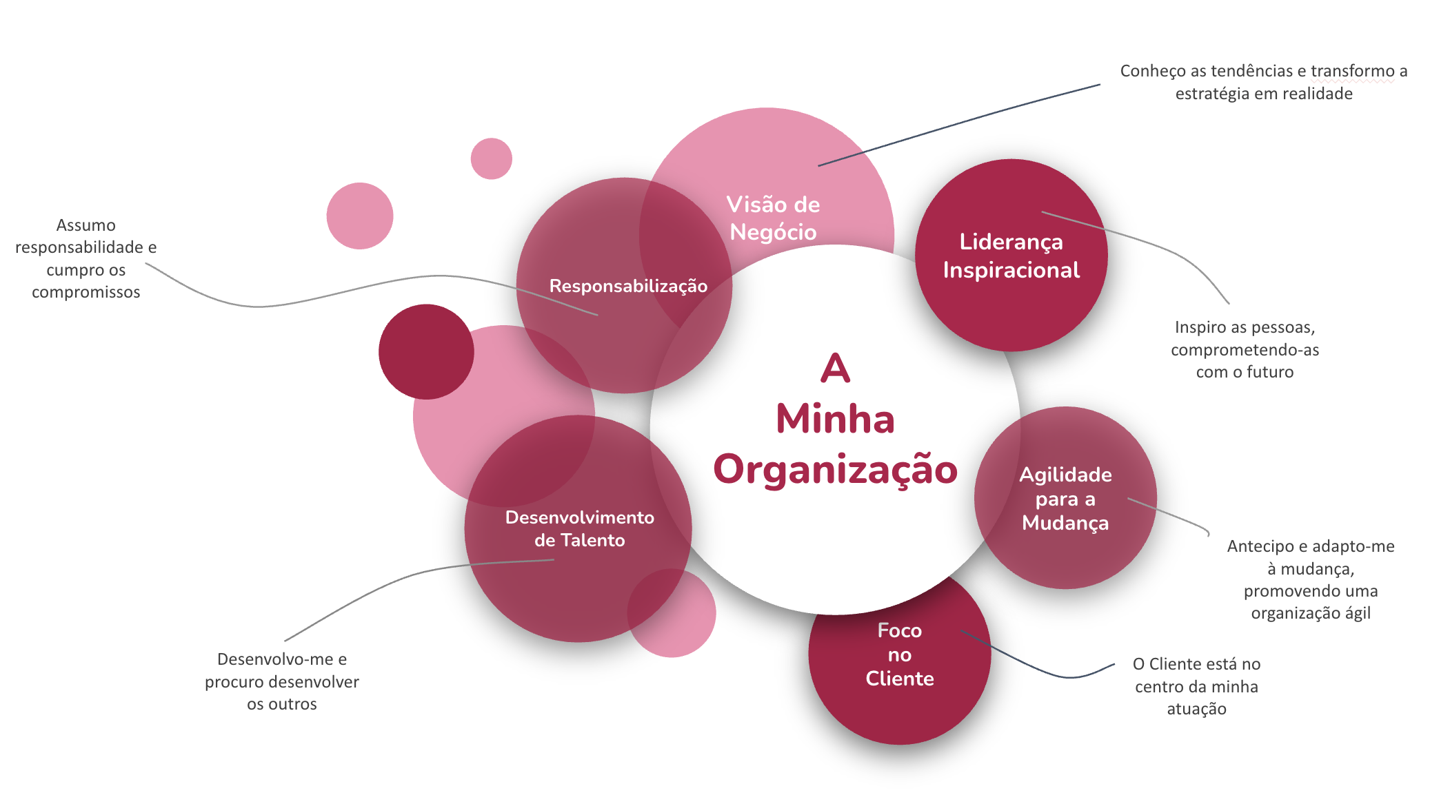 exemplos de competências e valores